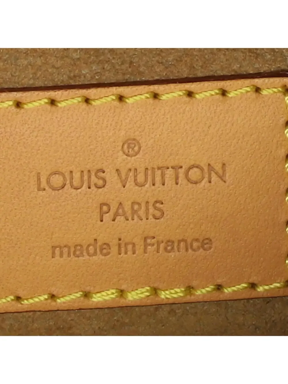 Louis Vuitton Loop Handbag Canvas #296497L23B